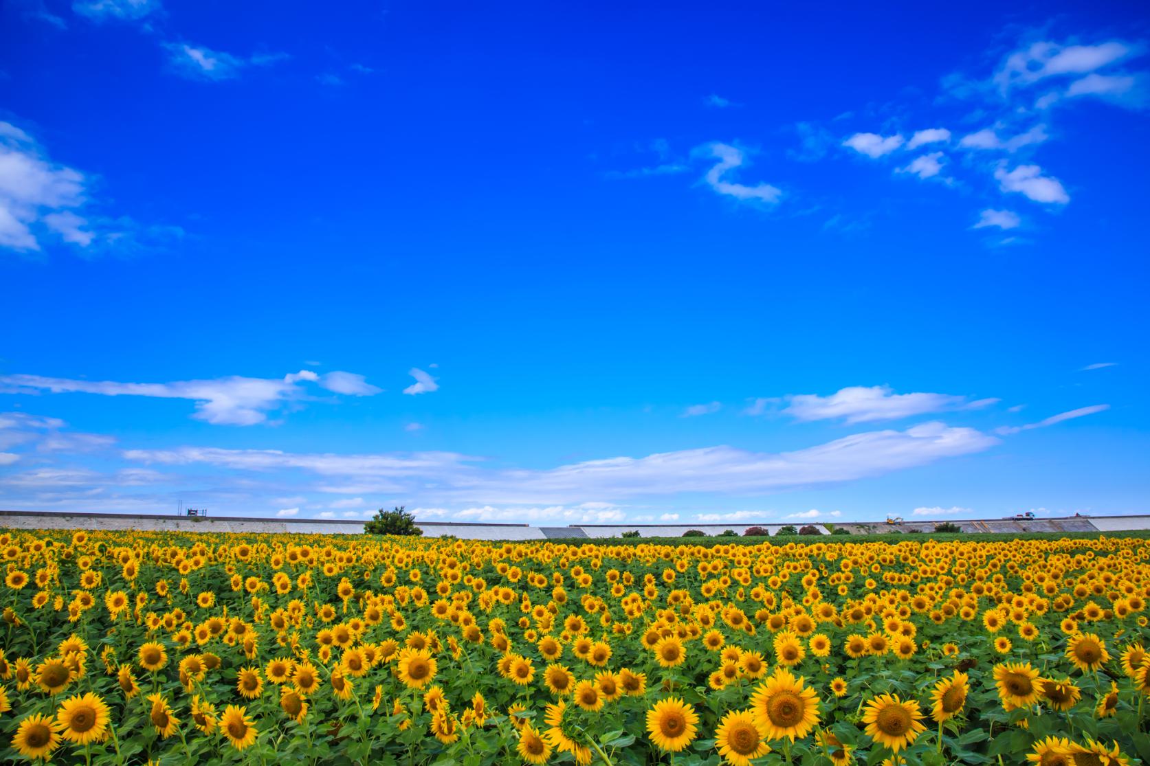 Spots “Instagrammables”-3