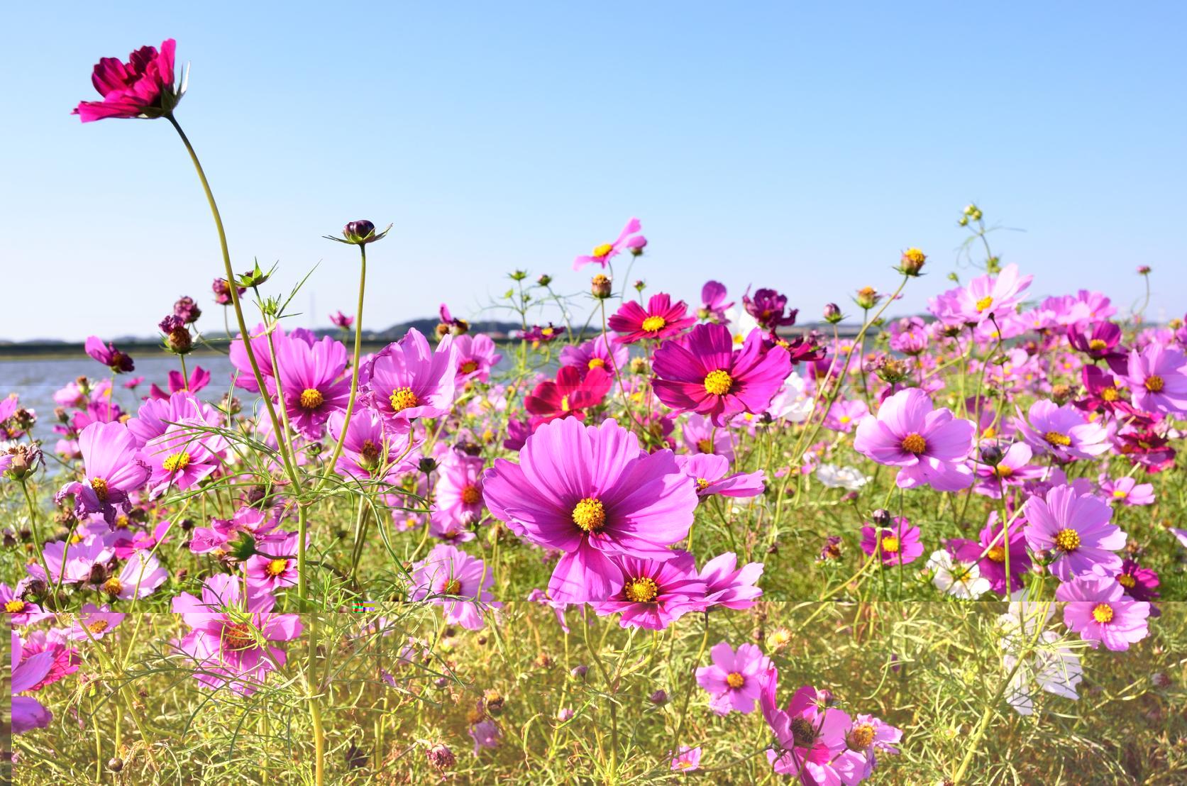 Profiter de la nature