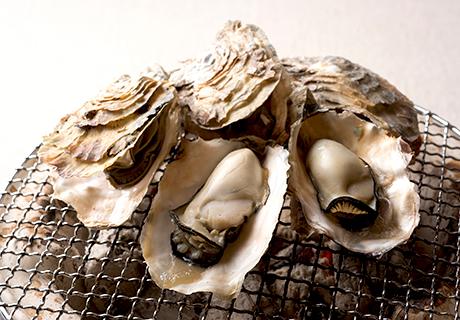 豊前海一粒かき